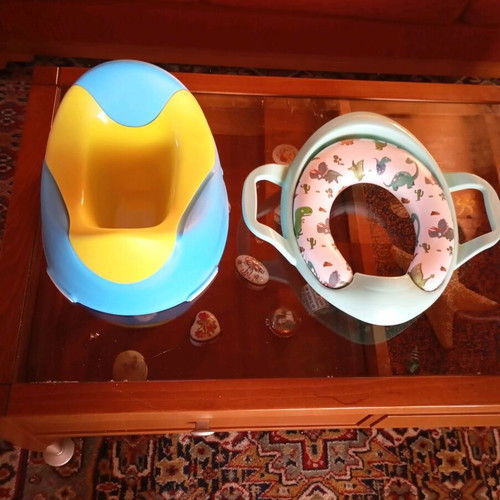 Children's potty and toilet training seat like new