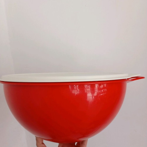 Mega Bowl 7.5L Tupperware new