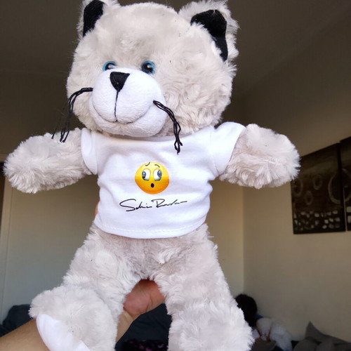 Collectible plush cat with Sakis Rouvas promo t-shirt, like new
