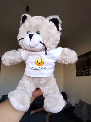 Collectible plush cat with Sakis Rouvas promo t-shirt, like new