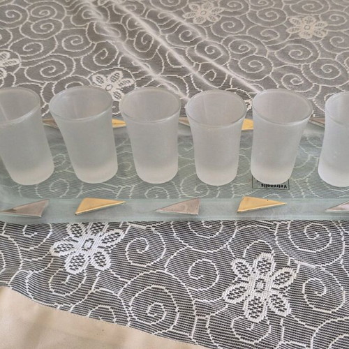 Tray with 6 shot glasses like new