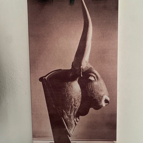 Canvas print with artistic bull depiction vintage style