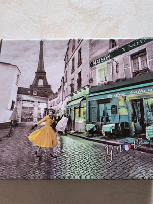 Y not Paris storage box new with Paris print