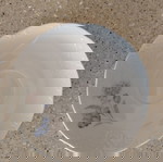  Πιατακια