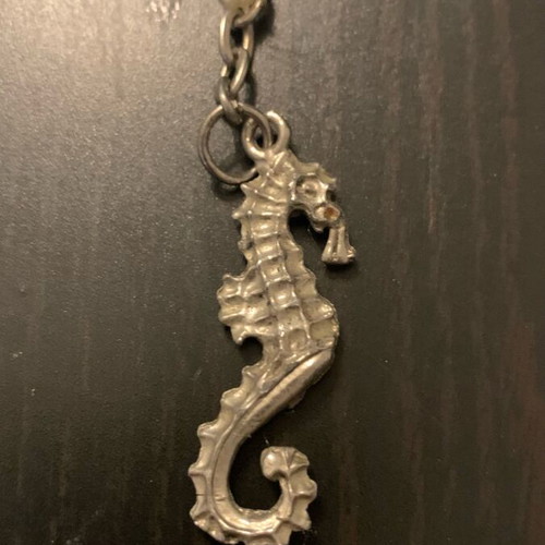 Seahorse pendant used