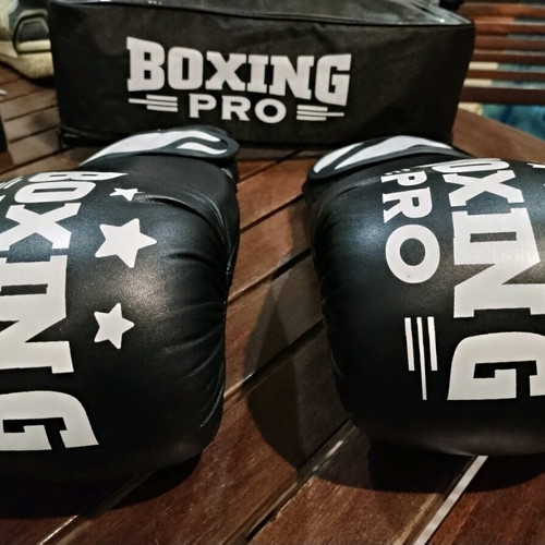 Boxing Pro Stripes 12 oz gloves like new with case