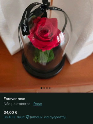 Forever rose new, in its box