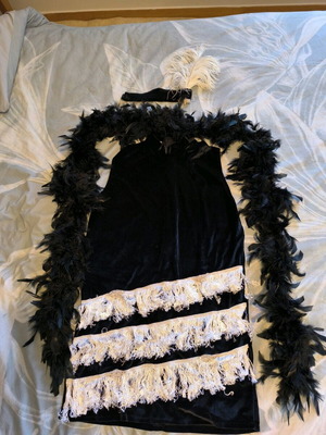 Charleston carnival costume women like new