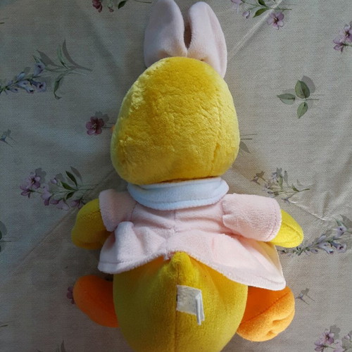 Plush duck used