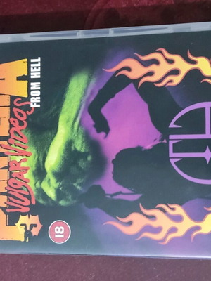 Pantera Vulgar Videos From Hell DVD like new with live footage and documentary