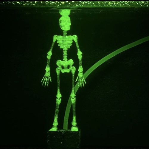 Dancing Skeleton for Aquarium 3D printed, made to order