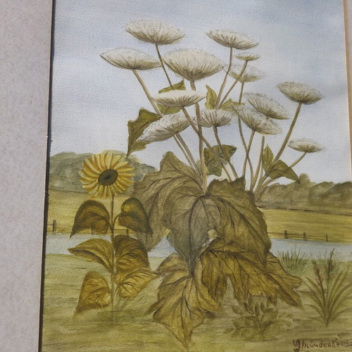 Original watercolor painting professionally framed, like new