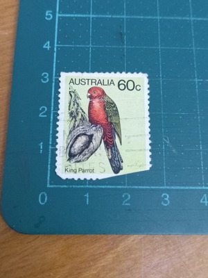 Αυστραλία 1980 γραμματόσημο King Parrot μεταχειρισμένο