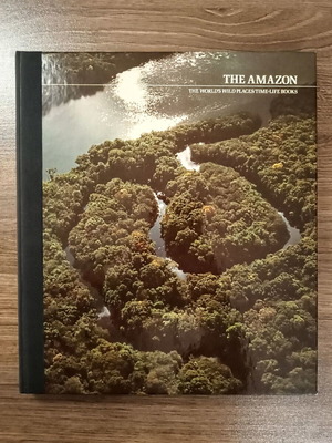 The world’s wild places: The Amazon