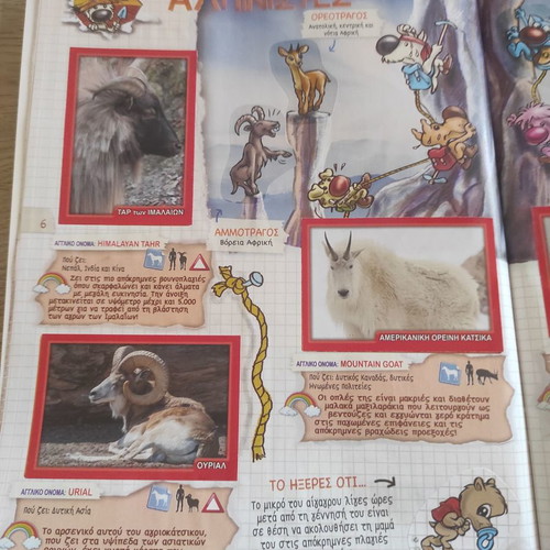 Panini album Our Friends the Animals used 2018