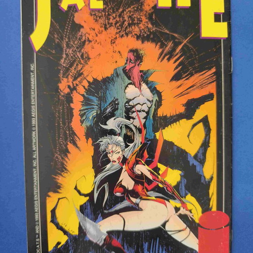 Image Stormwatch 2 comic used, first appearance of Cannon and Fahrenheit