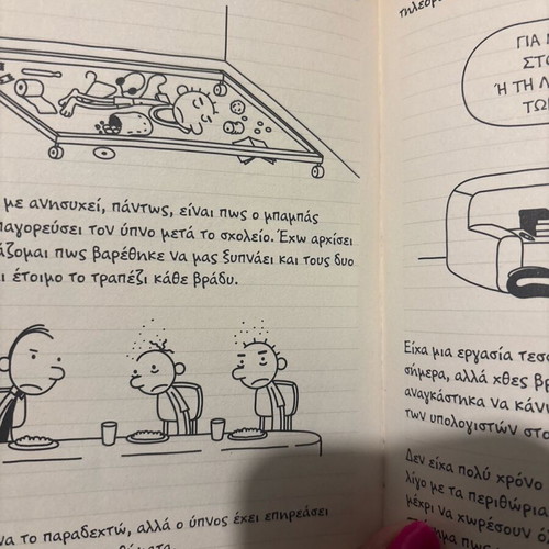 Diary of a Wimpy Kid 3 like new