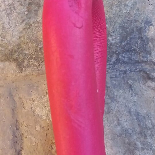 Fitness spring exercise tool used for adductors, arms, and chest