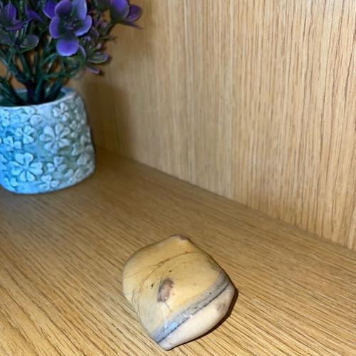 Sandstone natural sedimentary rock new with layers