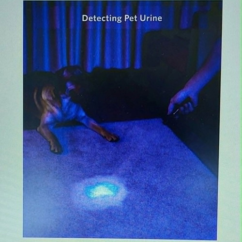 UV flashlight new, set of 2