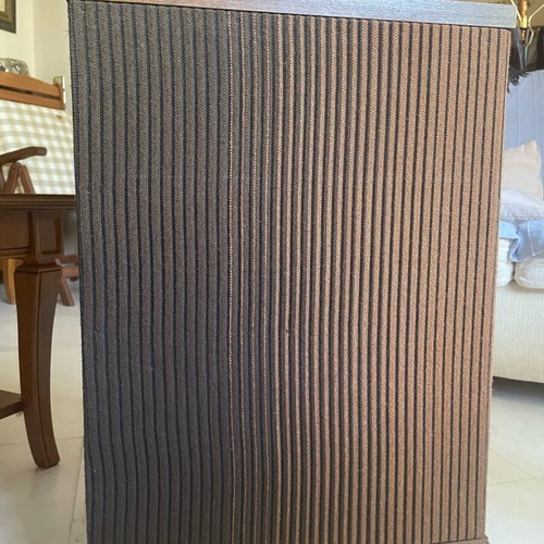 Bose 501 speakers like new