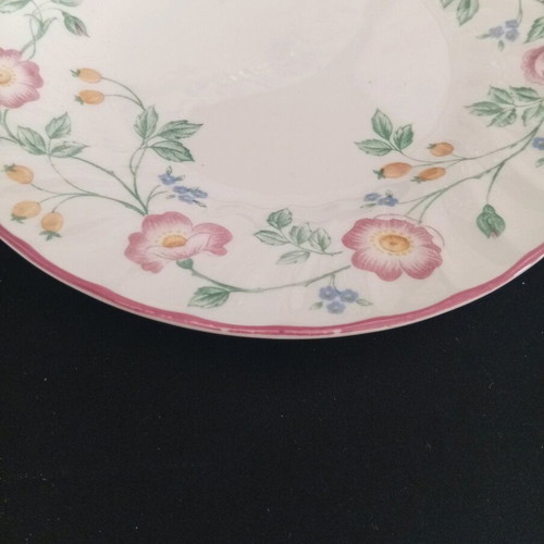 Churchill Staffordshire England "Briar Rose" serving set, 8 pieces