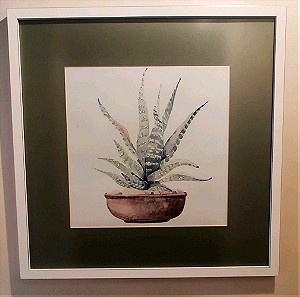 Πίνακας με θέμα φυτό κάκτος σε γλάστρα