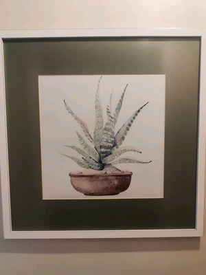 Cactus plant framed print used with decorative silver dust