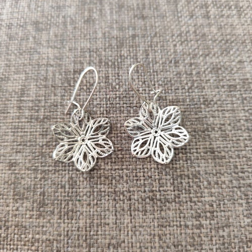 Earrings like new