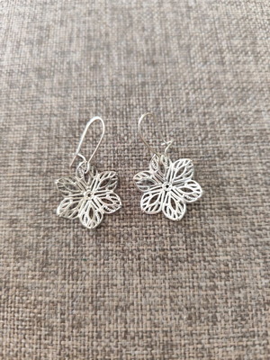 Earrings like new