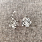 Earrings like new