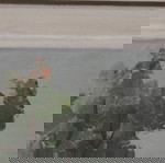 Μικρή κορνίζα/πινακάκι με όμορφη ζωγραφική με λάδι και ωραία σχέδια περιμετρικά.