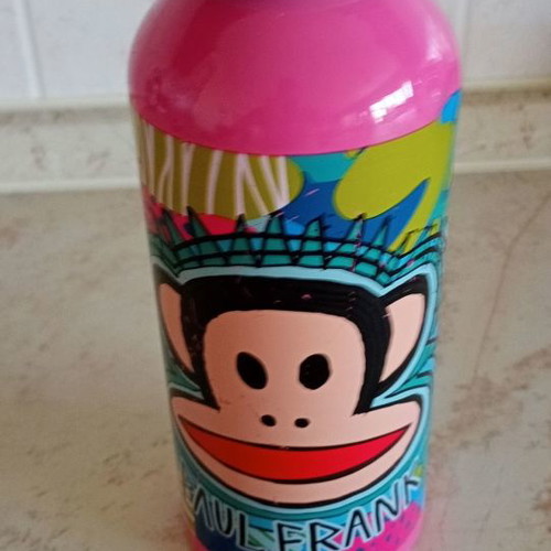 Paul Frank insulated bottle used with signs of wear