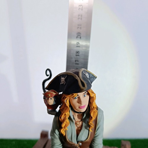 Pirate Girl 3D Printed Statue like new with Monkey Companion