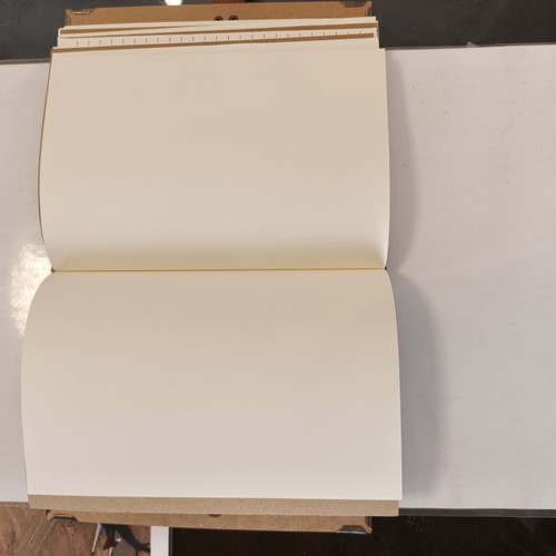 One Piece notebook with blank and lined pages handmade