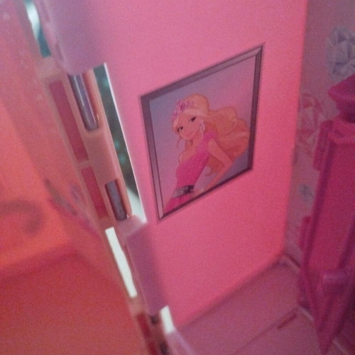 Barbie castle used from The princess and the rock star movie with figures