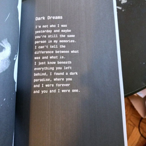 Black Butterfly poetry book like new by Robert M. Drake