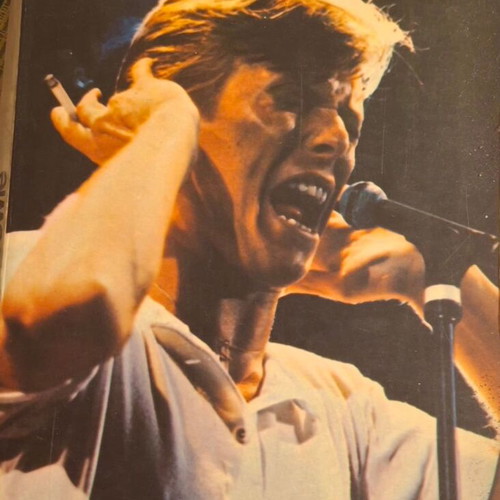 David Bowie book with photos and bilingual lyrics used
