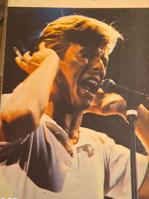 David Bowie book with photos and bilingual lyrics used