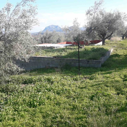 Land plot 220 sqm with 13-meter road frontage, Panorama Zegolatio location
