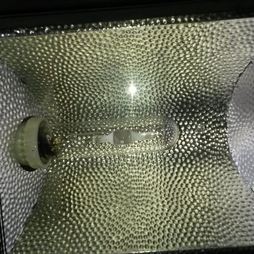 HQI floodlights used, 2x250W black and 3x150W white, waterproof