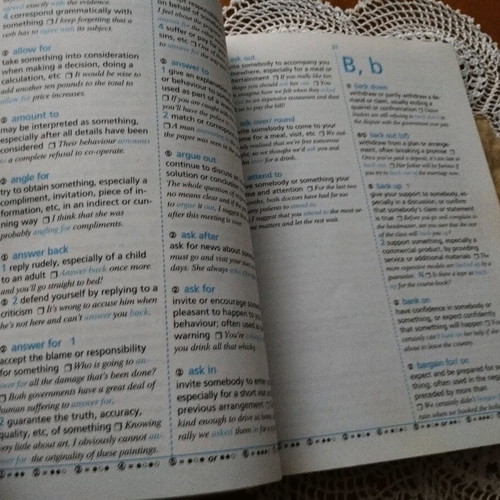 Phrasal Verbs Dictionary Global ELT 2013 like new