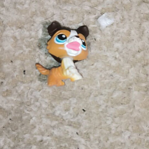 Littlest Pet Shop figure like new, fake