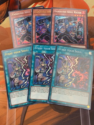 Razen+ Stake Your Soul bundle like new, Vanquish Soul cards