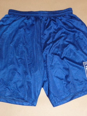Hellas Softball National Team training shorts XL