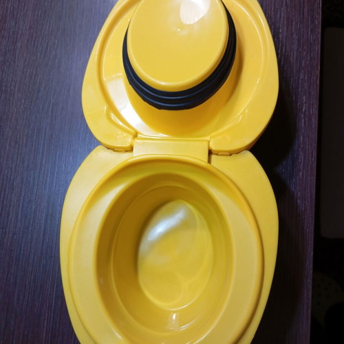 Carry Potty toilet training potty used with bee design