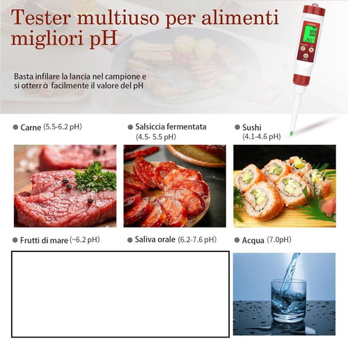 GIDIGI Digital pH Meter for Food like new with spear-type probe and ATC