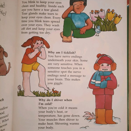 All About Ourselves Fisher Price book like new, English edition
