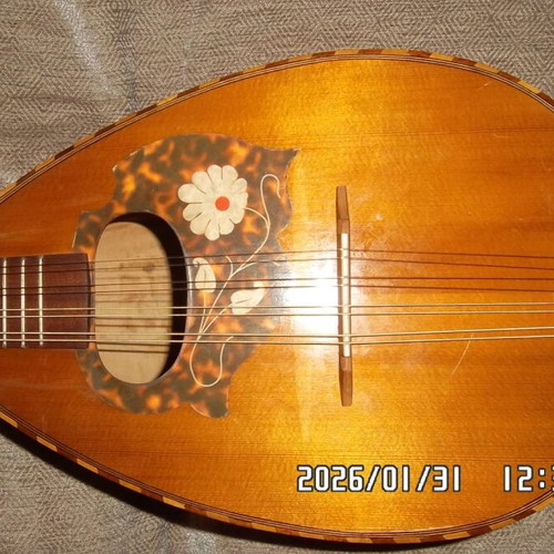 Italian Mandolin used with waterproof case and pickup