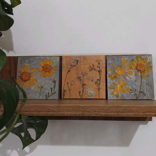 Set of 3 handmade frames with dried flowers new